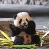 云开了