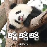 为欢几何