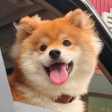 豆友182089449