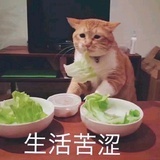 时间森林