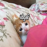 劳工孩子在天唐