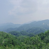 小乌贼