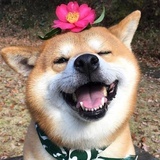 丸子铺