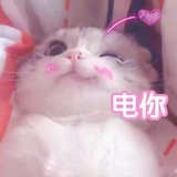 电竞妲己