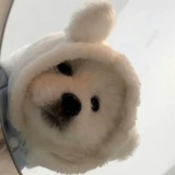 白开水