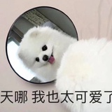 白骨夫人