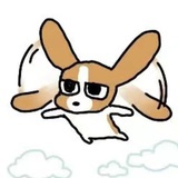 小比契卡