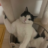 mia✿
