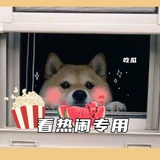 我有狗了