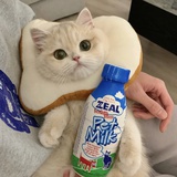 搞碗螺蛳粉尝尝