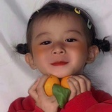 张哈哈