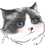 爱探险的如花🌸