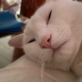 一天