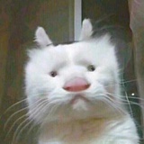 啊这