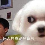 空空旷旷
