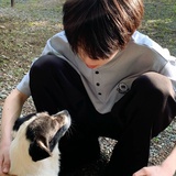 京城太子杨博文