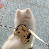 苔