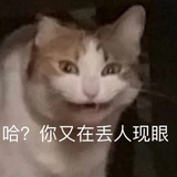 一起吃冰激凌