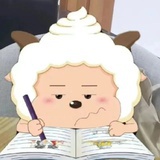 Pehysy