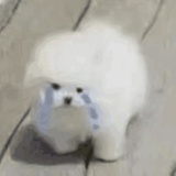 ὸ֊́o