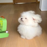 不想说话