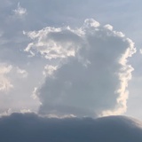 醒来了