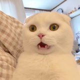 你笑起来很好看