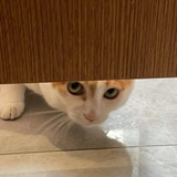 就喜欢喜不喜欢