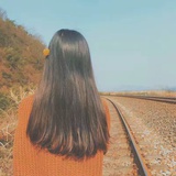 赵赵