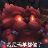 毛茸茸的陈泽彬