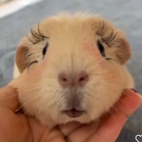 emmmm