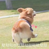今天也努力啦