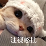 幽兰拿铁🍶