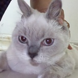 就要说