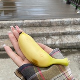 只研朱墨作春山
