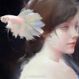 皎皎月