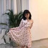 胡苏