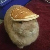大孢子叶球
