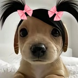 橡皮重度依赖