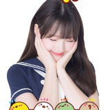 🐰