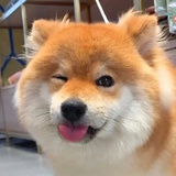 插天线的高压锅