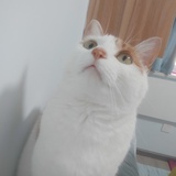 知否~