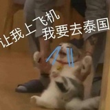轻语低喃