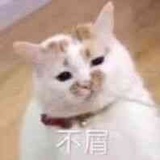基层人员