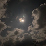 颜真卿