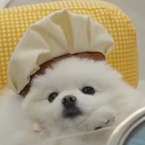 BAN