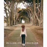 忆路沙