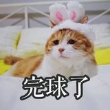 自愧弗如