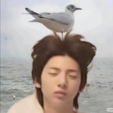 狗狗园长毛毛