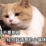 oden said
